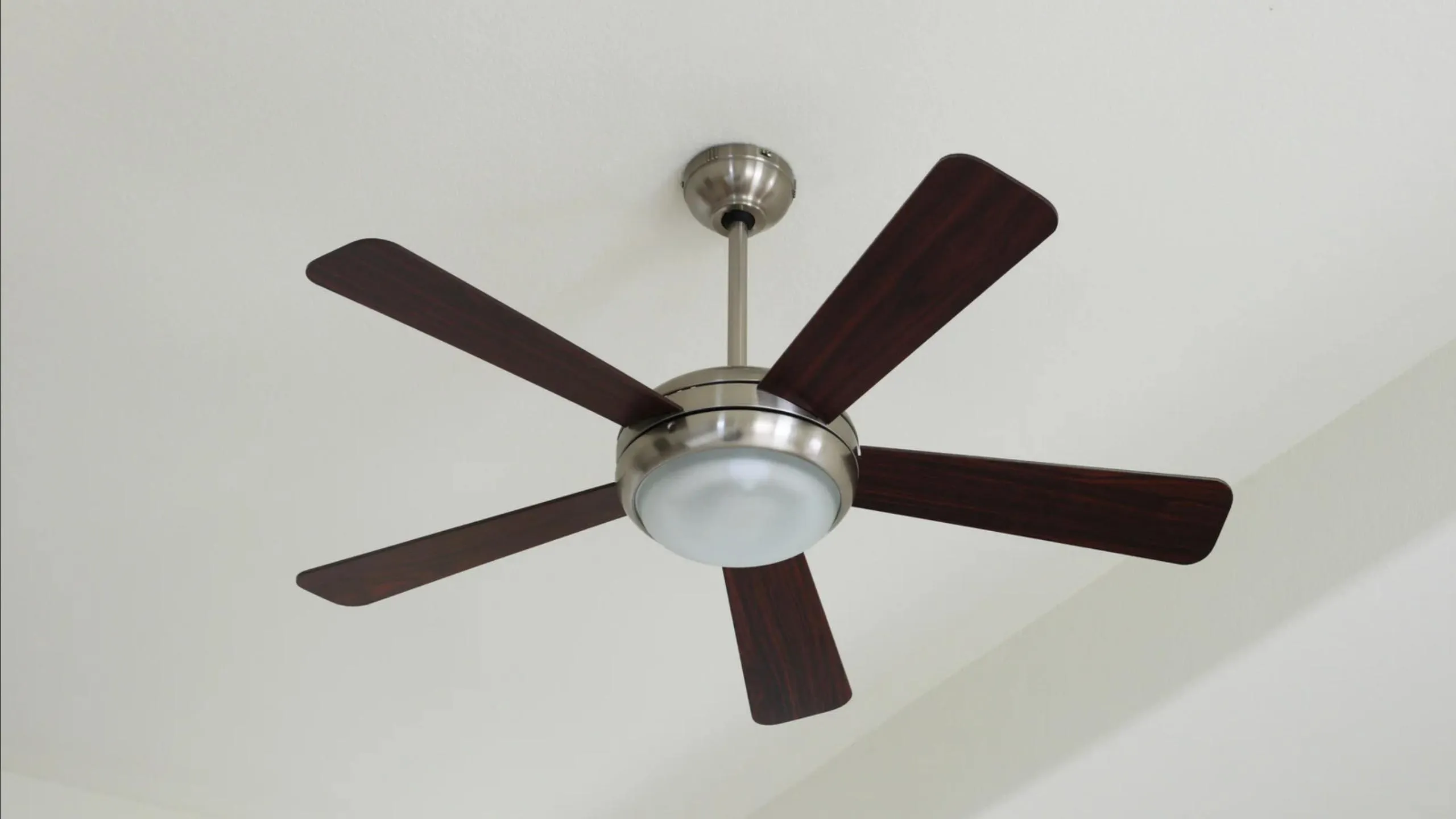 Ceiling Fan Ceiling Fan installed by electricode